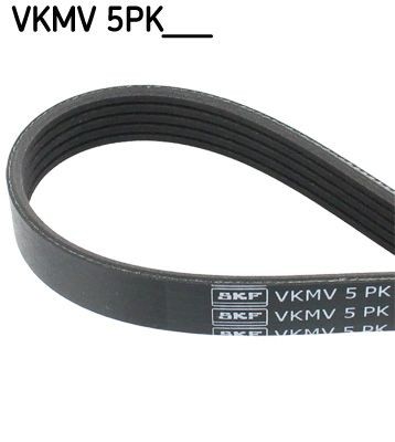 Skf keilrippenriemen 5pk785 - skf,