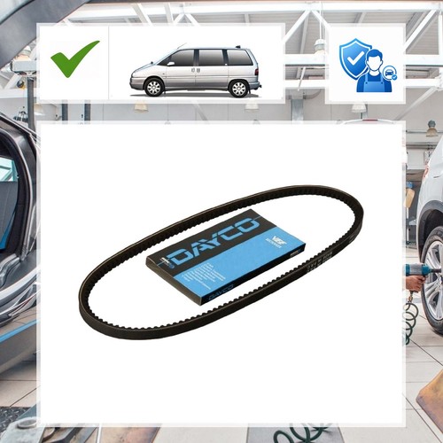 Dayco keilriemen bmw - 3, (e36)